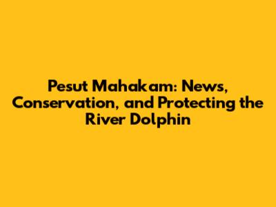 Pesut Mahakam: News, Conservation, and Protecting the River Dolphin