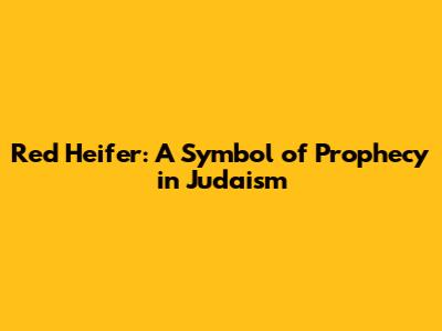 Red Heifer: A Symbol of Prophecy in Judaism
