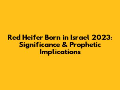 Red Heifer Born in Israel 2023: Significance & Prophetic Implications