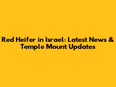 Red Heifer in Israel: Latest News & Temple Mount Updates