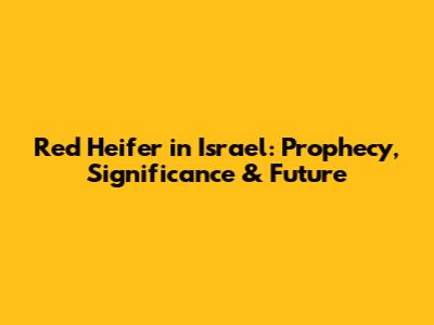 Red Heifer in Israel: Prophecy, Significance & Future