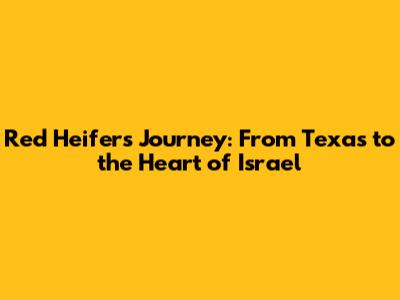Red Heifers Journey: From Texas to the Heart of Israel