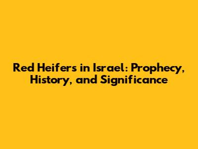 Red Heifers in Israel: Prophecy, History, and Significance