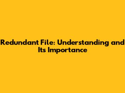 Redundant File: Understanding and Its Importance