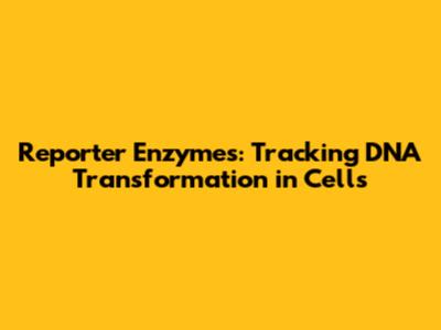 Reporter Enzymes: Tracking DNA Transformation in Cells