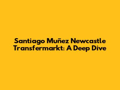 Santiago Muñez Newcastle Transfermarkt: A Deep Dive