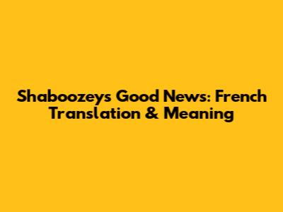 Shaboozey's Good News: French Translation & Meaning