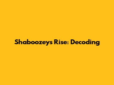 Shaboozey's Rise: Decoding
