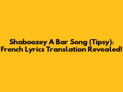 Shaboozey "A Bar Song (Tipsy)": French Lyrics Translation Revealed!