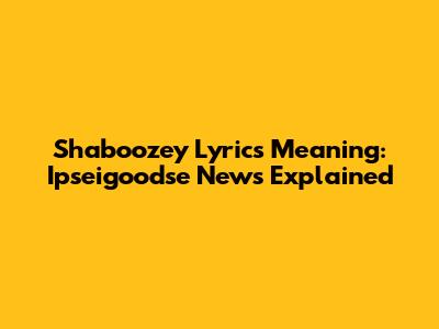 Shaboozey Lyrics Meaning: Ipseigoodse News Explained