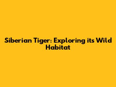 Siberian Tiger: Exploring its Wild Habitat