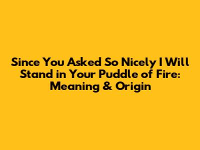 Since You Asked So Nicely I Will Stand in Your Puddle of Fire: Meaning & Origin