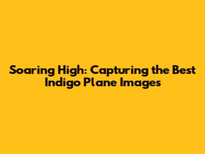 Soaring High: Capturing the Best Indigo Plane Images