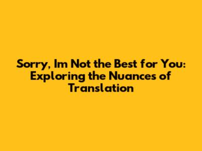 Sorry, I'm Not the Best for You: Exploring the Nuances of Translation