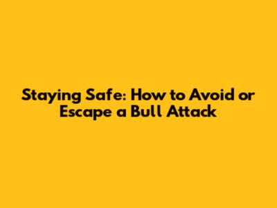 Staying Safe: How to Avoid or Escape a Bull Attack