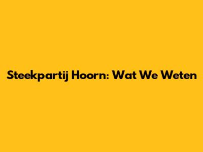 Steekpartij Hoorn: Wat We Weten