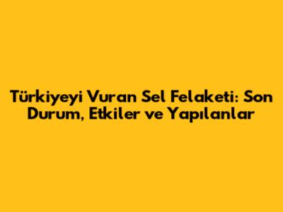 Türkiye'yi Vuran Sel Felaketi: Son Durum, Etkiler ve Yapılanlar