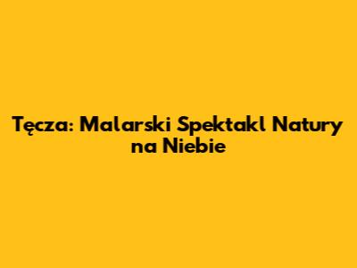 Tęcza: Malarski Spektakl Natury na Niebie