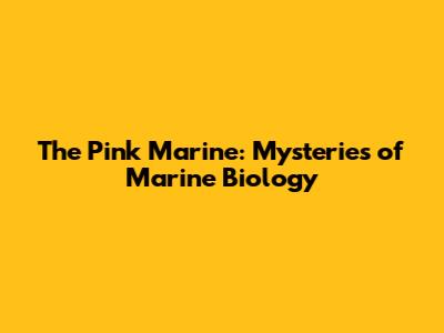 The Pink Marine: Mysteries of Marine Biology