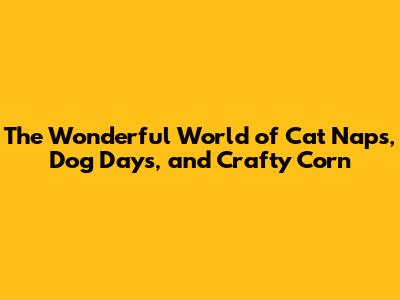 The Wonderful World of Cat Naps, Dog Days, and Crafty Corn
