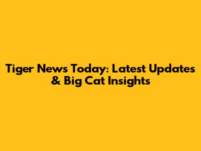 Tiger News Today: Latest Updates & Big Cat Insights