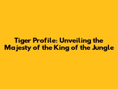 Tiger Profile: Unveiling the Majesty of the King of the Jungle