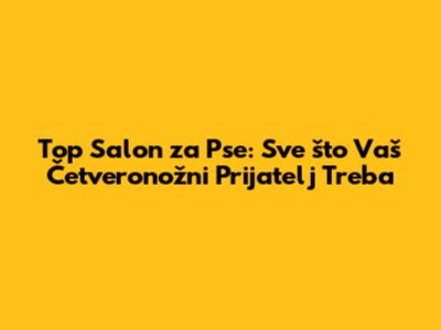 Top Salon za Pse: Sve što Vaš Četveronožni Prijatelj Treba