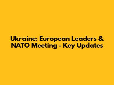 Ukraine: European Leaders & NATO Meeting - Key Updates