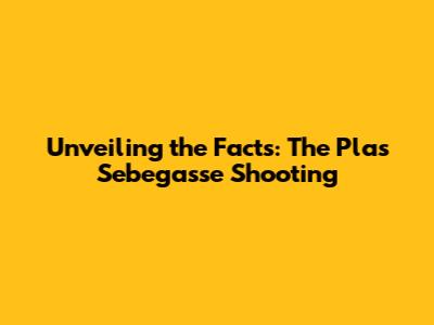 Unveiling the Facts: The Plas Sebegasse Shooting