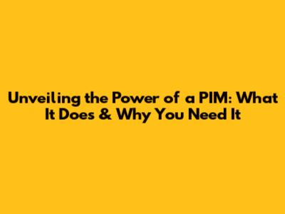 Unveiling the Power of a PIM: What It Does & Why You Need It