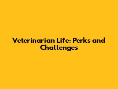 Veterinarian Life: Perks and Challenges