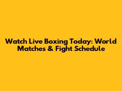 Watch Live Boxing Today: World Matches & Fight Schedule
