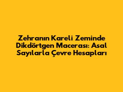 Zehra'nın Kareli Zeminde Dikdörtgen Macerası: Asal Sayılarla Çevre Hesapları