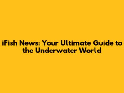 iFish News: Your Ultimate Guide to the Underwater World