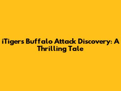 iTiger's Buffalo Attack Discovery: A Thrilling Tale