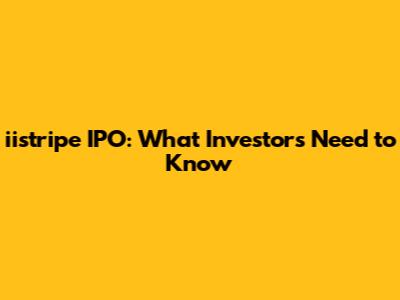 iistripe IPO: What Investors Need to Know
